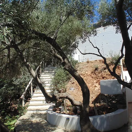 Torre Comfort House *